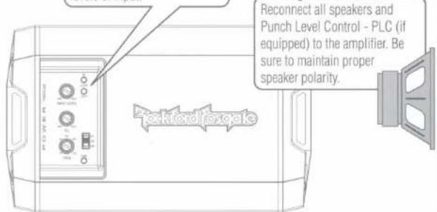 Reconnect all speakers and Punch Level Control - PLC (if equipped) to the amplifier. Be sure to maintain proper speaker polarity.