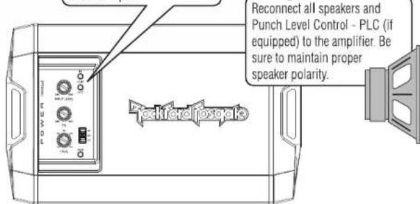 Reconnect all speakers and Punch Level Control - PLC (if equipped) to the amplifier. Be sure to maintain proper speaker polarity.