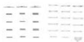 TRENDNET TV-IP1314PI - Package Contents - 2
