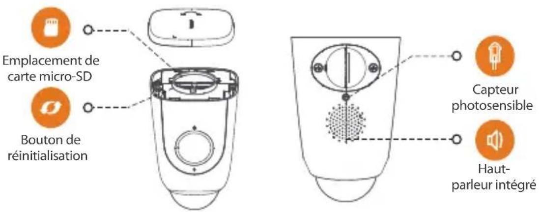 Emplacement de carte micro-SD Bouton de réinitialisation Capteur photosensible Haut- parleur intégré