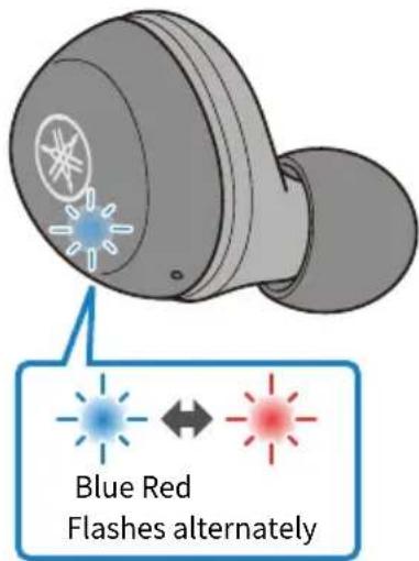 Blue Red Flashes alternately
