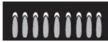 Monogram ZGU30RSLSS - Precauciones de la Plancha: - 2