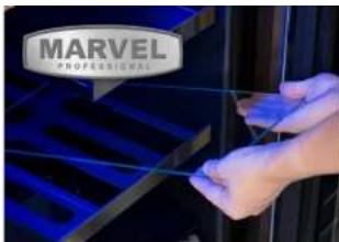 MARVEL PROFESSIONALS