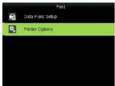 Print Data Field Setup Printer Options