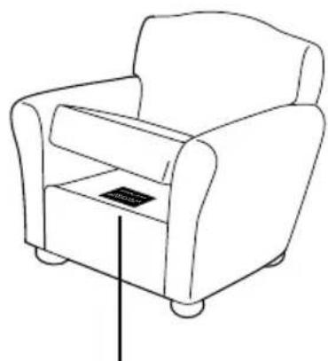 BISSELL ProHeat Essential - Important! If using the machine to clean upholstery, check upholstery tags. - 1