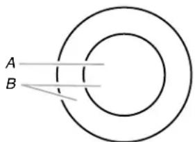 A B