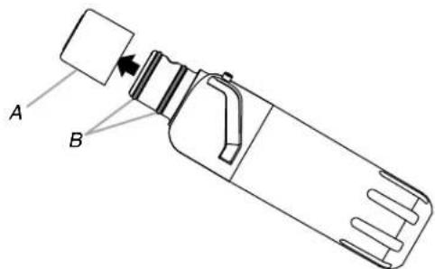 A B