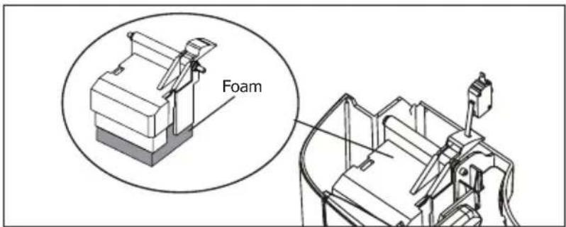 Foam