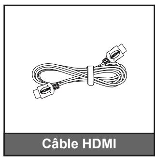 OPTOMA HD280e - Accessoires en option - 2