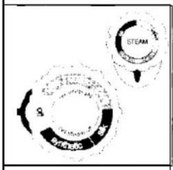STEAM BITTIEC