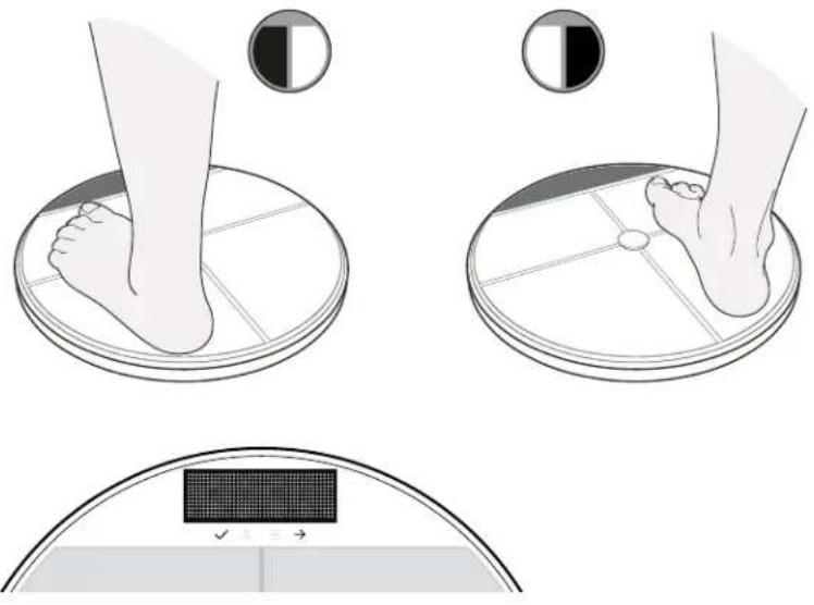 HTC UA Scale - Getting started - 2