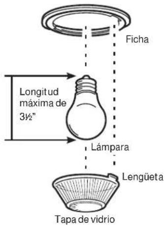 Ficha, longitud máxima de 3½", lámpara, lengüeta, tapa de vidrio