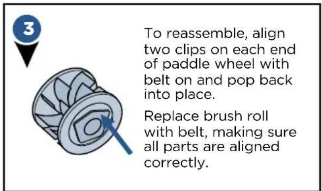 To reassemble, align two clips on each end of paddle wheel with belt on and pop back into place. Replace brush roll with belt, making sure all parts are aligned correctly.