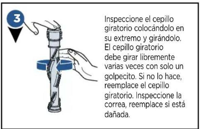 3 Inspeccione el cepillo giratorio colocándolo en su extremo y girándolo. El cepillo giratorio debe girar libremente varias veces con solo un golpecito. Si no lo hace, reemplace el cepillo giratorio. Inspeccione la correa, reemplace si está dañada.