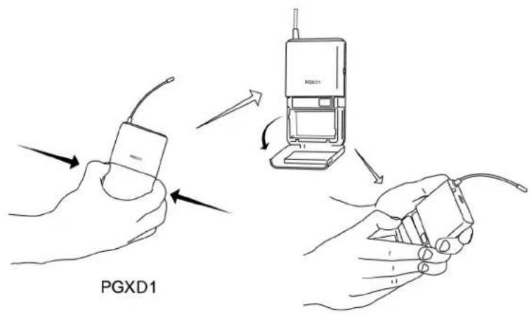 PGXD1
