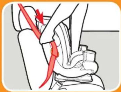 GRACO Extend2Fit - Pase el cinturón de seguridad del vehículo - 1