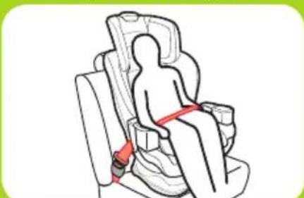 GRACO Extend2Fit - ¿Está todo correcto? - 2