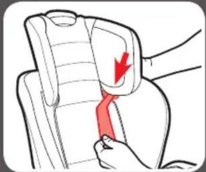 GRACO Extend2Fit - 6-B Asegurar al niño en el asiento con respaldo - 3