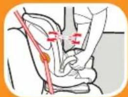 GRACO Extend2Fit - ¿Está todo correcto? - 1