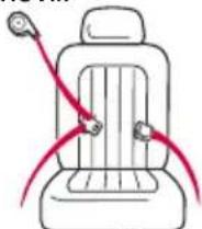 GRACO Extend2Fit - Identificación del tipo de su cinturón de seguridad - 1