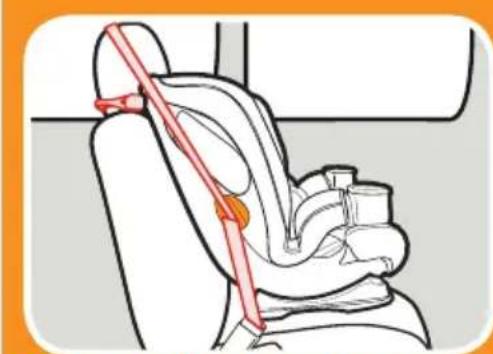 GRACO Extend2Fit - pulgadas (125 cm) o menos\* - 1