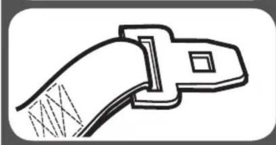 GRACO Extend2Fit - Placa de seguridad cosida y ALR - 2