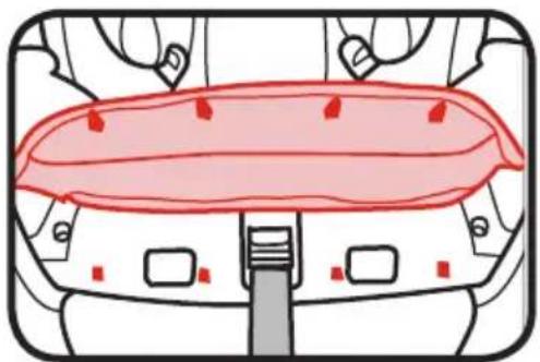 GRACO Extend2Fit - Almohadilla del asiento - 2