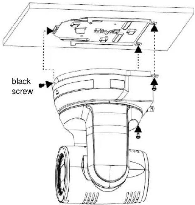 black screw