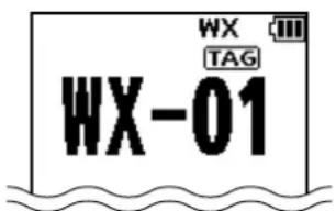 WX TAG WX-01