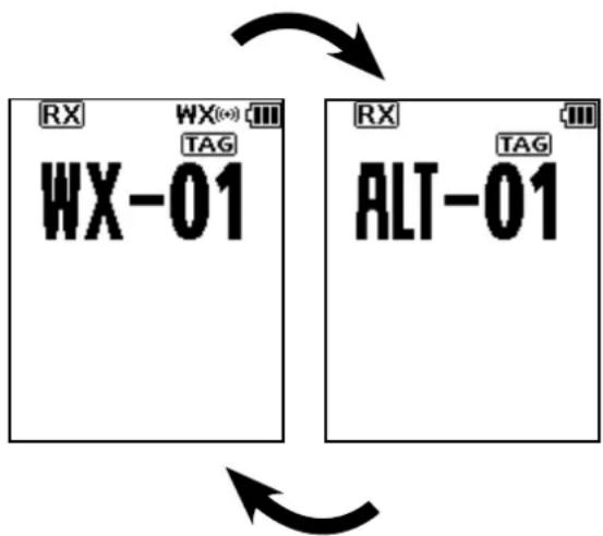 RX WX(∗) TAG WX-01 RX TAG ALT-01