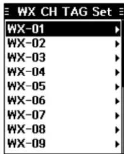 WX CH TAG Set WX-01 WX-02 WX-03 WX-04 WX-05 WX-06 WX-07 WX-08 WX-09