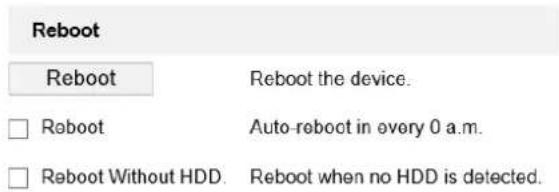Reboot Reboot the device. □ Reboot Auto-reboot in every 0 a.m. □ Reboot Without HDD. Reboot when no HDD is detected.
