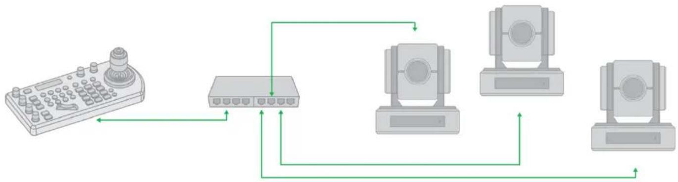 BirdDog Eyes P100 - IP Port to Network Switch - 1