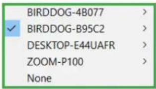 BIRDDOG-4B077 ✓ BIRDDOG-B95C2 DESKTOP-E44UAFR ZOOM-P100 None