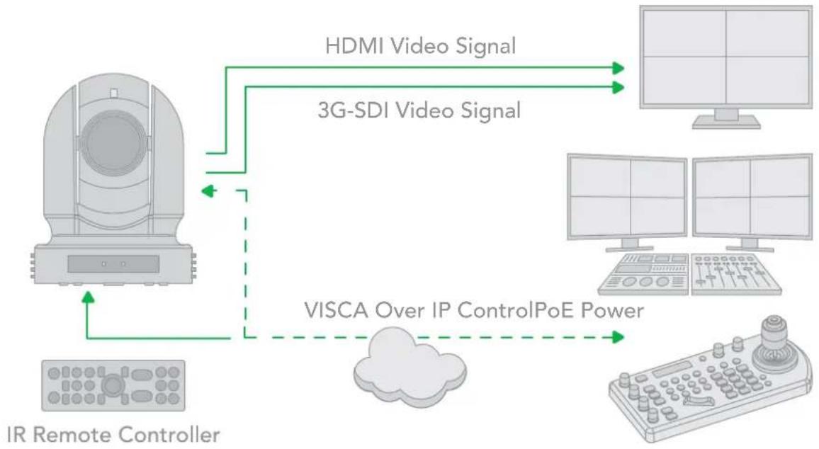 BirdDog Eyes P100 - VISCA over IP Control - 1