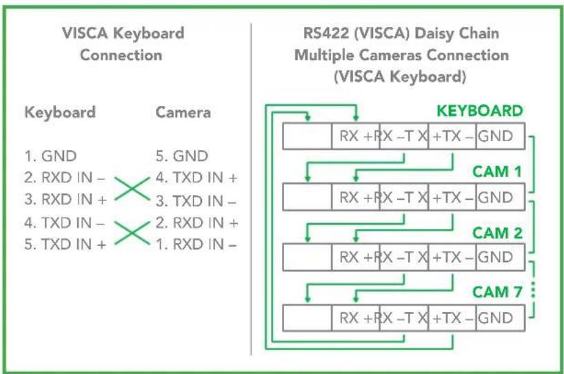 BirdDog Eyes P100 - Non-Sony Keyboard RS422 Connection - 1