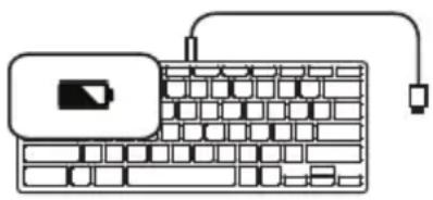 Brydge C-Type - PAIR - 3