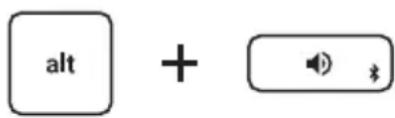Brydge C-Type - PAIR - 1