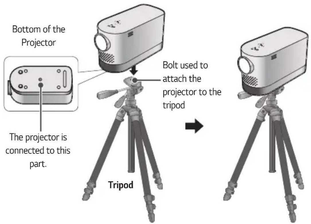 Bottom of the Projector The projector is connected to this part. Tripod Bolt used to attach the projector to the tripod