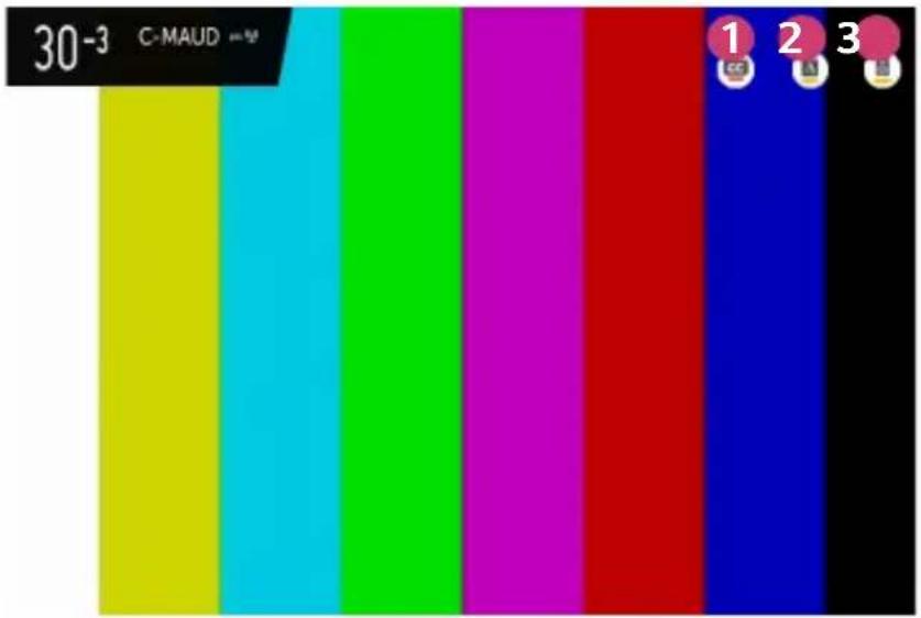 30-3 C-MAUD 1 2 3