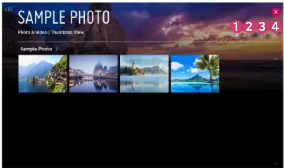 SAMPLE PHOTO Photo & Video | Thumbnail View Sample Photo /