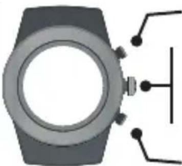LifeTrak Brite R440 - INSIDE SETTING MODE - 1