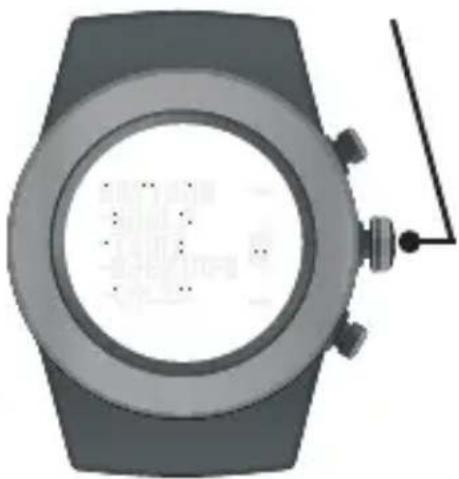 LifeTrak Brite R440 - ADVANCED SETTINGS - 3