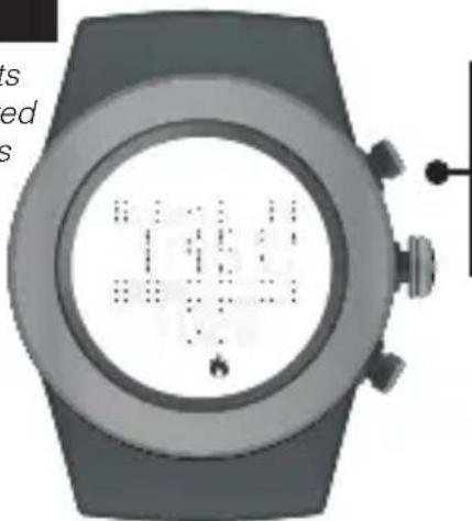 LifeTrak Brite R440 - INACTIVITY ALERT - 1