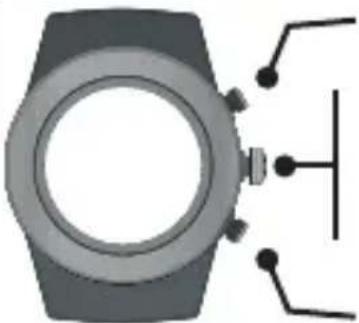 LifeTrak Brite R440 - INSIDE SETTING MODE - 1