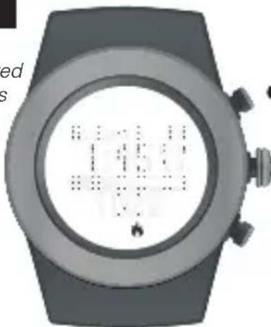 LifeTrak Brite R440 - SETTING TIME - 1