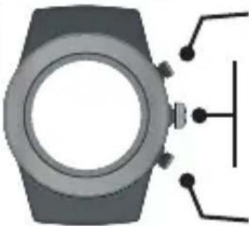 LifeTrak Brite R440 - INSIDE SETTING MODE - 1