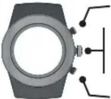 LifeTrak Brite R440 - INSIDE SETTING MODE - 1