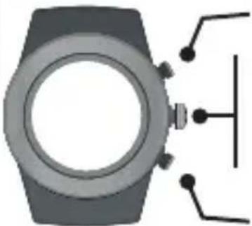 LifeTrak Brite R440 - WORKOUT : VIEW RECORDED DATA - 2