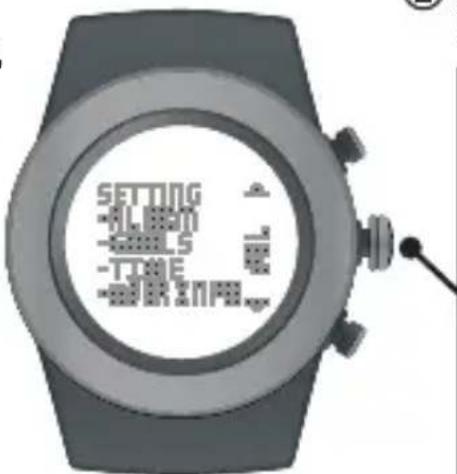 SETTING -ILLIEM -SELLS -TIME